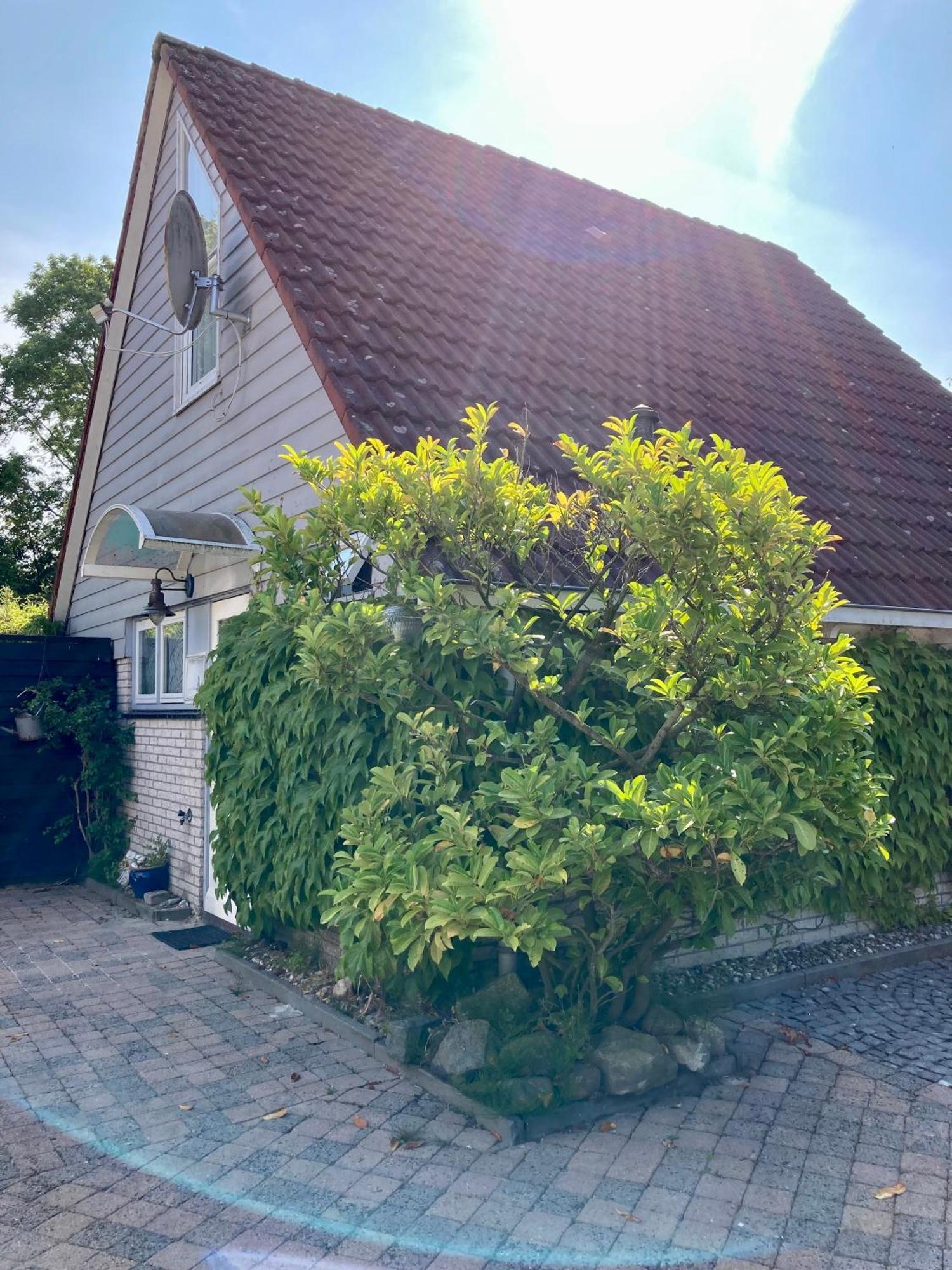 Gudrun 5 Pers Equipped House With Sauna. Dogs Are Welcome! Anjum Exterior foto