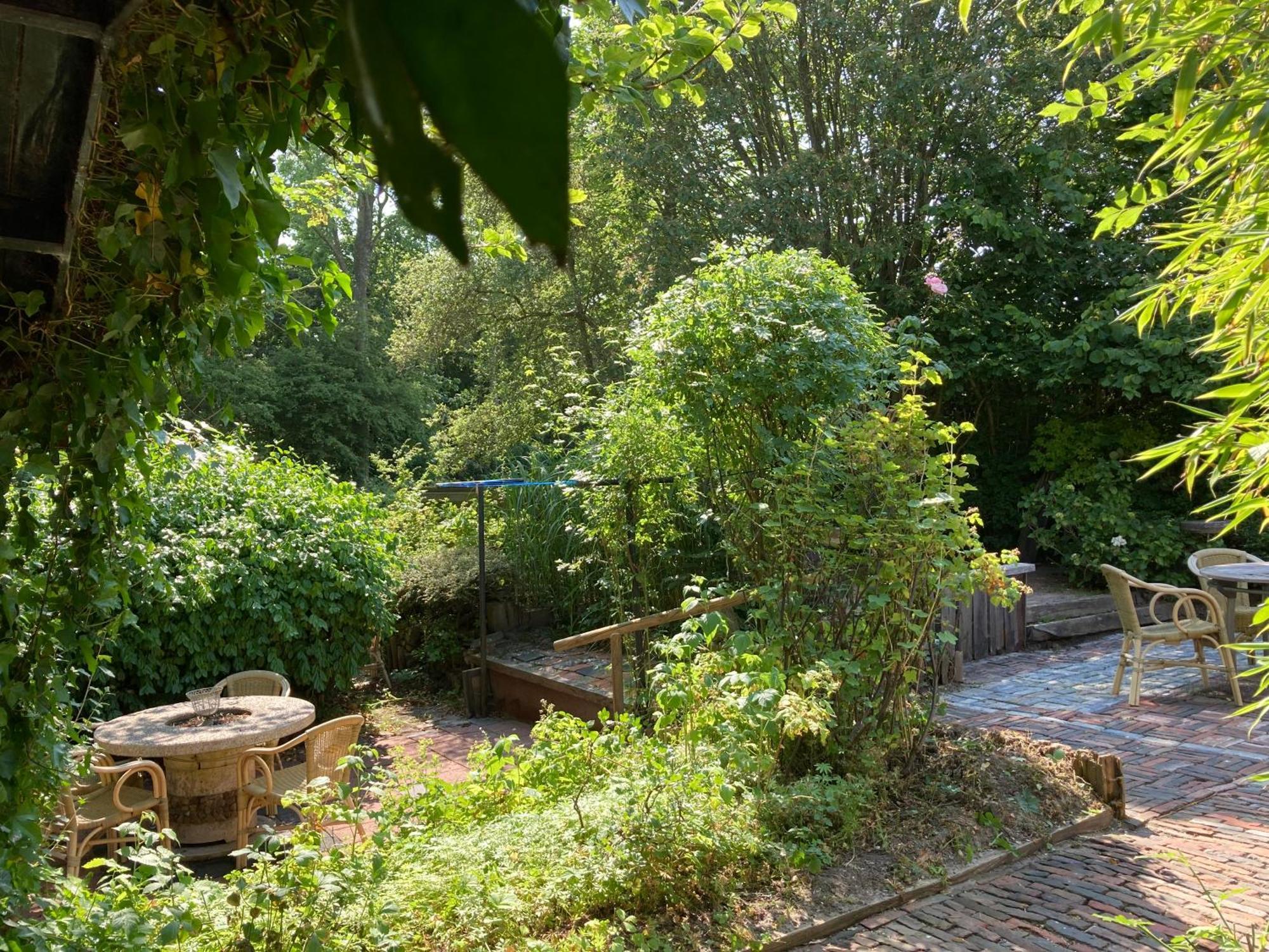 Gudrun 5 Pers Equipped House With Sauna. Dogs Are Welcome! Anjum Exterior foto